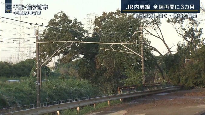 線路をふさぐ倒れた木