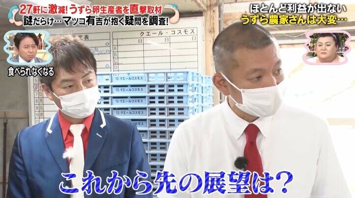 全国でたった27軒に…うずら農家の現状にマツコ＆有吉が危惧「もう、食べられなくなる」