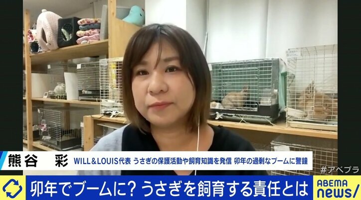 「“犬や猫より安いから”と安易に」卯年に過剰ブーム? うさぎの学校飼育廃止を求める署名も