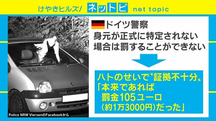 ドイツ警察がFacebookに投稿した“奇跡の1枚”が話題に 「証拠不十分」で罰免れる