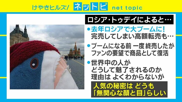 SNSを席巻する“IKEAのサメ”、人気の秘訣は「無関心な顔と目」?