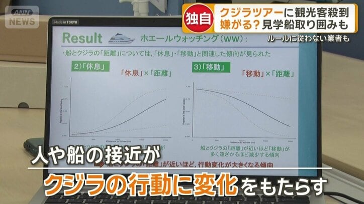観光客の増加に伴うクジラの行動変化