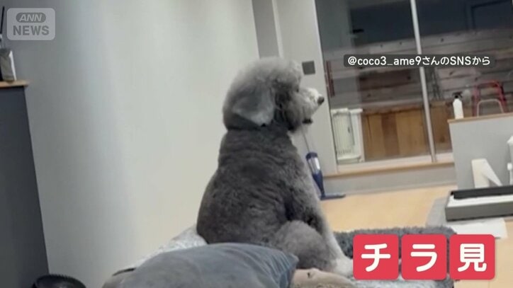 何度呼ばれてもチラ見