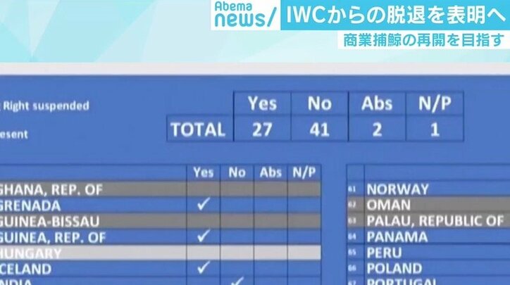 日本のIWC脱退表明にくじら料理店の心境は「なくなった食文化を戻すのは大変」