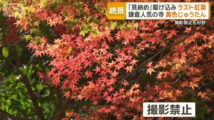 境内は撮影禁止