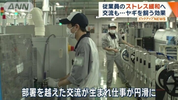 部署を越えた交流が生まれ仕事が円滑に