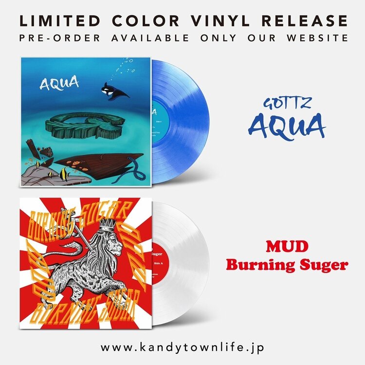 レコード】KANDYTOWN Gottz AQUA