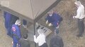 不明男児が履いていたとみられる黒い靴見つかる　小学校から6キロ離れた山中で