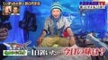ナスD、1日寝かしたサメ料理に感動！ “刺身と漬け3種盛り”に「天にも昇る味」