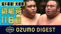 2019年 大相撲初場所 - 大相撲ダイジェスト - 結びの一番で大波乱!全幕内一挙に振り返り! | 動画視聴は【Abemaビデオ(AbemaTV)】