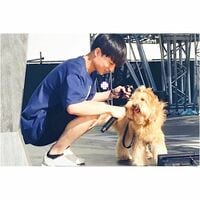 「レックスになりたい」白濱亜嵐の愛犬と戯れる“仲良しショット”にファン悶絶