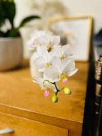 松居直美『視力』