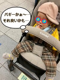 ニッチェ 江上敬子『なるほどバギーか！』