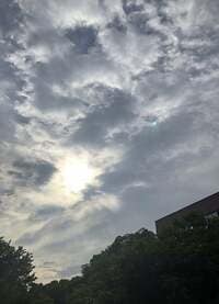 エド・はるみ『悲し過ぎるカット後』