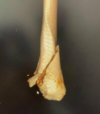 池畑慎之介『❤️FM生放送』