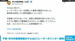 市川市動植物園のサル山に「レーザーポインター照射」 千葉