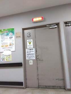  女子プロレスラー・渡辺智子、母親を救急病院へ連れて行った結果「急遽痛み始めたみたい」 