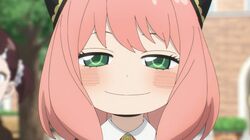 アニメ『SPY×FAMILY』全37話が一挙放送決定！6月11日から2週連続で実施