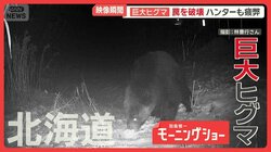 脅威のパワー…巨大ヒグマの異様行動　300kg超わな破壊　度重なる出動でハンター疲弊