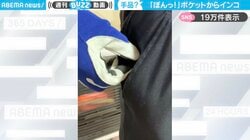「手品みたいw」“ぽんっ”とポケットから飛び出すインコに「つまみ出されてる〜」「めっちゃ笑った」と反響
