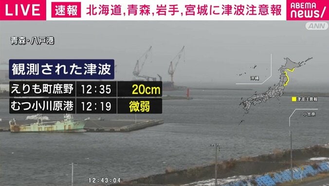 観測された津波