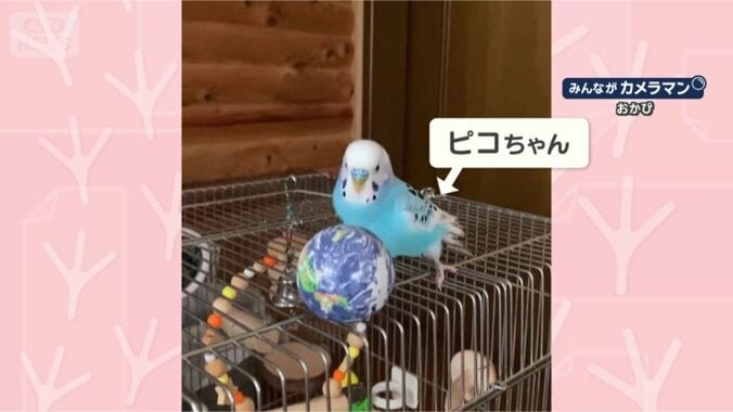 地球さんコンニチハ