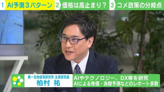 第一生命経済研究所主席研究員・柏村祐氏