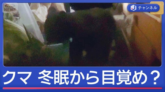 冬眠から目覚め？住宅にクマ出没　“想定外”の一部始終 1枚目