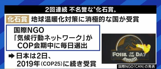 この冬、首都圏では電力危機の可能性も?…脱石炭と脱原発、目標達成は本当に可能なのか 1枚目