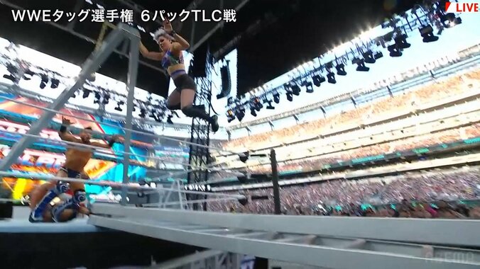 リング上、ラダーのキャンディスが衝撃落下