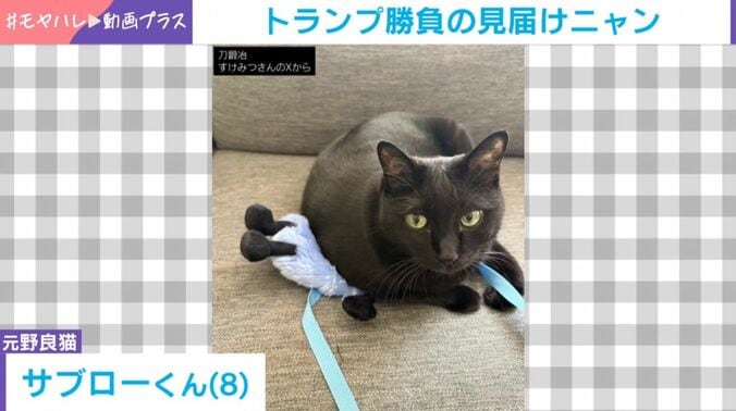 サブローくん