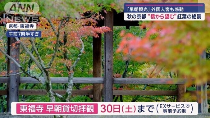 早朝の特別拝観は30日まで（事前予約制）