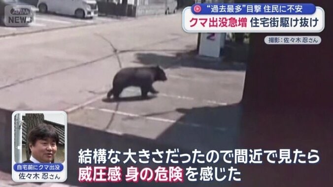 クマは自宅の前を通っていた