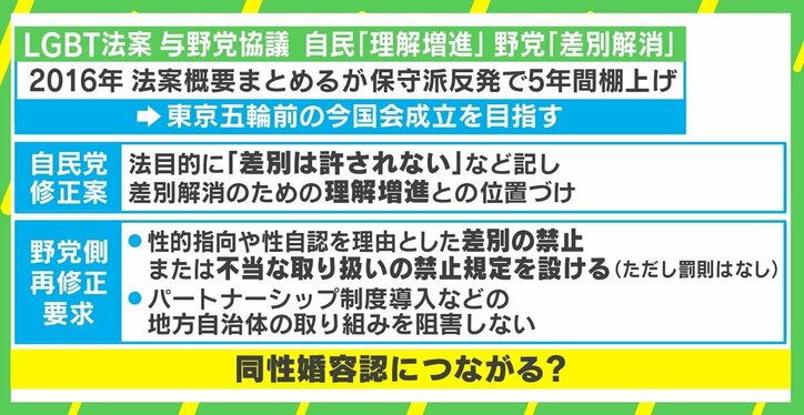 “LGBT法案”への「差別禁止」明示めぐり議論、与野党議員に聞く 「『差別は許されない』という言葉だけでは救済されない」当事者の現状