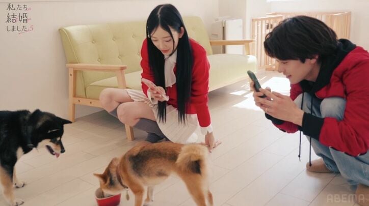 【写真・画像】　2枚目