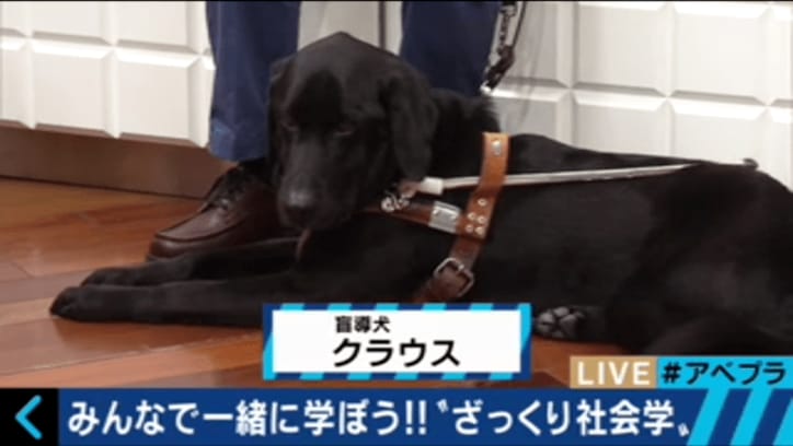 フィフィ、『補助犬問題』に言及　「スマホ見てるばかりでなく、積極的な声かけを」