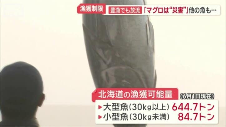 北海道の漁獲可能量