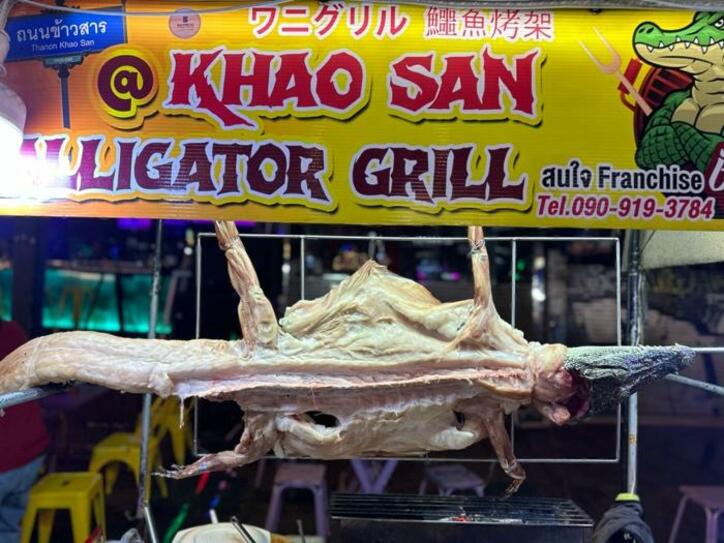 おかもとまりさん、仕事で訪れたタイで堪能した料理「ワニも売ってたよ」 