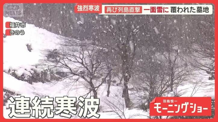 住民悲鳴“連続寒波”で被害続出 積もり続ける雪 「桜の木が」物流も大混乱