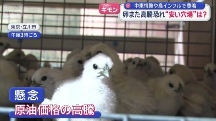 原油価格の高騰はひなにも