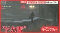 北はドカ雪 南は台風接近 四季から二季へ 専門家「今の状態は極端化」