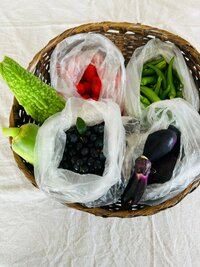 松居直美『母の幸子さんから』