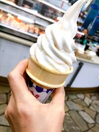 渡辺美奈代『ハワイのセブンイレブン』