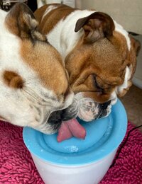 北斗晶『贅沢な冷蔵庫の中』