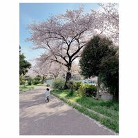 辻希美『蟹〜』