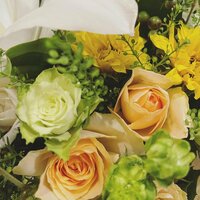 本田朋子『38歳になりました』