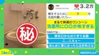 【映像】こえぇー! 洗面所に置かれた“ある物体”に悲鳴殺到