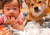 尾形あい『大嫌い!!!ってすぐ言うブーム』