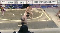 【映像】転落した力士を襲った“珍”ハプニング