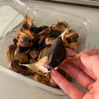 水野真紀『免疫力アップ』